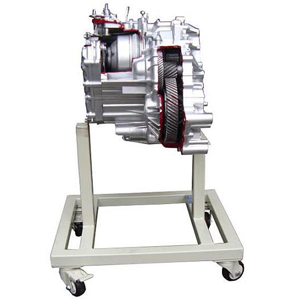 ZOP-C071 anatomy training device